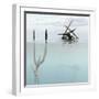 Pteranodon Pterosaur Diving Underwater Hunting for Fish-Stocktrek Images-Framed Art Print