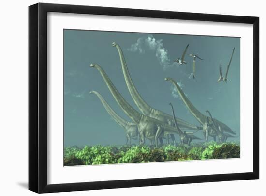 Pteranodon Reptiles Fly over a Herd of Mamenchisaurus-Stocktrek Images-Framed Art Print