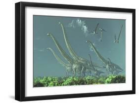 Pteranodon Reptiles Fly over a Herd of Mamenchisaurus-Stocktrek Images-Framed Art Print