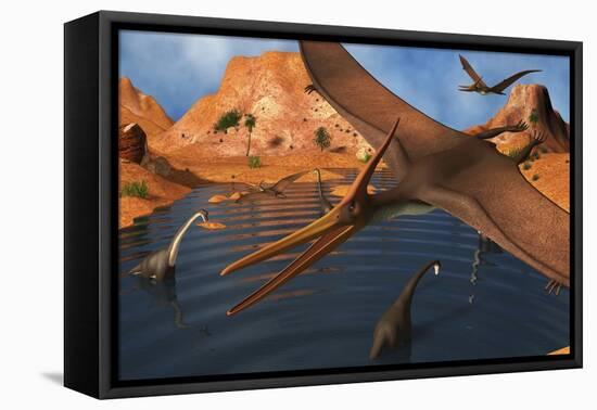 Pteranodon Reptiles Flying over a Group of Brachiosaurus Dinosaurs-Stocktrek Images-Framed Stretched Canvas