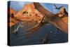 Pteranodon Reptiles Flying over a Group of Brachiosaurus Dinosaurs-Stocktrek Images-Stretched Canvas