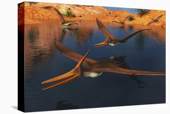 Pteranodon Reptiles Searching for Food in a Lake-Stocktrek Images-Stretched Canvas
