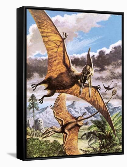 Pteranodon-Payne-Framed Stretched Canvas