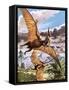 Pteranodon-Payne-Framed Stretched Canvas