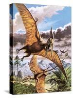 Pteranodon-Payne-Stretched Canvas