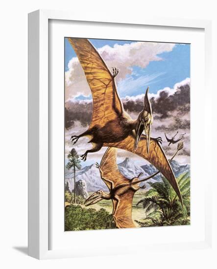 Pteranodon-Payne-Framed Giclee Print