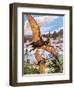 Pteranodon-Payne-Framed Premium Giclee Print