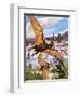 Pteranodon-Payne-Framed Premium Giclee Print