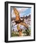 Pteranodon-Payne-Framed Giclee Print