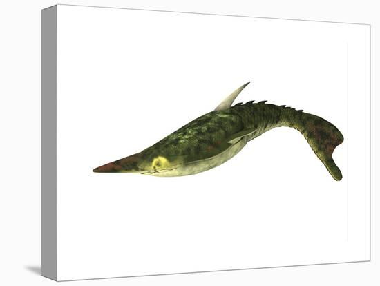 Pteraspis Is an Extinct Genus of Jawless Fish-null-Stretched Canvas