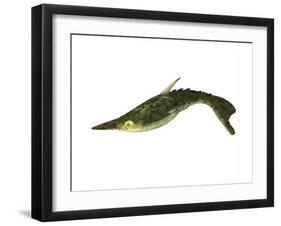 Pteraspis Is an Extinct Genus of Jawless Fish-null-Framed Art Print