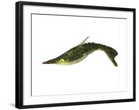 Pteraspis Is an Extinct Genus of Jawless Fish-null-Framed Art Print