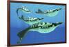 Pteraspis Is an Extinct Genus of Jawless Ocean Fish That Lived in the Devonian Period-null-Framed Art Print