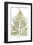 Pteris Leptophylla-Edward Joseph Lowe-Framed Giclee Print