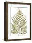 Pteris Leptophylla-Edward Joseph Lowe-Framed Giclee Print