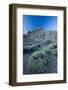Pterocephalus Lasiospermus with Rock Formations in Distance, Teide National Park, Tenerife, Spain-Relanzón-Framed Photographic Print
