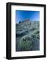 Pterocephalus Lasiospermus with Rock Formations in Distance, Teide National Park, Tenerife, Spain-Relanzón-Framed Photographic Print