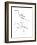 Pterodactyl-null-Framed Premium Giclee Print