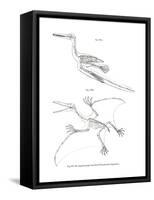 Pterodactyl-null-Framed Stretched Canvas