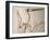 Pterodactylus Dinosaur Fossil from the Late Jurassic Era-Kevin Schafer-Framed Premium Photographic Print