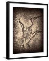 Pterodactylus Kochi-Clive Nolan-Framed Photographic Print