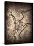Pterodactylus Kochi-Clive Nolan-Stretched Canvas