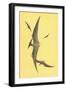 Pterodons-null-Framed Art Print