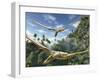 Pterosaurs Flying, Computer Artwork-Roger Harris-Framed Photographic Print