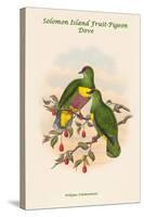 Ptilopus Solomonensis - Solomon Island Fruit-Pigeon - Dove-John Gould-Stretched Canvas