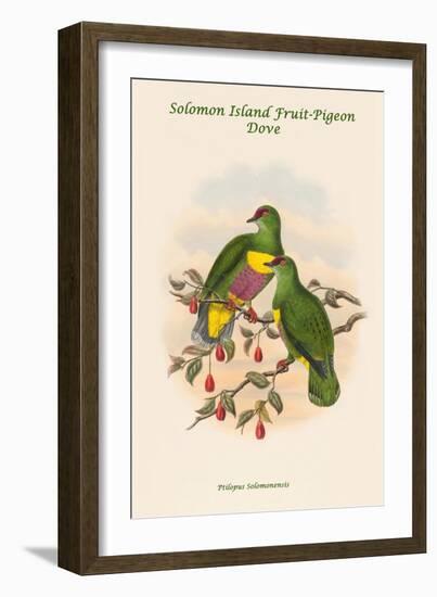 Ptilopus Solomonensis - Solomon Island Fruit-Pigeon - Dove-John Gould-Framed Art Print