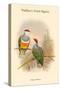 Ptilopus Wallacei -Wallace's Fruit-Pigeon-John Gould-Stretched Canvas