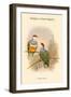 Ptilopus Wallacei -Wallace's Fruit-Pigeon-John Gould-Framed Art Print