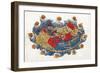 Ptolemy's World Map, 2nd Century-Science Source-Framed Giclee Print