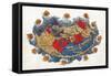 Ptolemy's World Map, 2nd Century-Science Source-Framed Stretched Canvas
