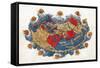 Ptolemy's World Map, 2nd Century-Science Source-Framed Stretched Canvas