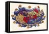 Ptolemy's World Map, c.150 AD-null-Framed Stretched Canvas