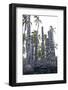 Pu'uhonua, Place of Refuge-Gayle Harper-Framed Photographic Print