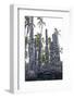 Pu'uhonua, Place of Refuge-Gayle Harper-Framed Photographic Print