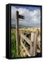 Public Footpath Sign and Kissing Gate, Longridge Fell, Lancashire-Peter Thompson-Framed Stretched Canvas