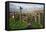 Public Footpath Sign and Kissing Gate, Longridge Fell, Lancashire-Peter Thompson-Framed Stretched Canvas