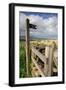 Public Footpath Sign and Kissing Gate, Longridge Fell, Lancashire-Peter Thompson-Framed Photographic Print