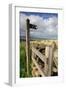 Public Footpath Sign and Kissing Gate, Longridge Fell, Lancashire-Peter Thompson-Framed Photographic Print