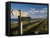 Public Footpath Sign on Lindisfarne, Northumberland, England, United Kingdom, Europe-Rob Cousins-Framed Stretched Canvas