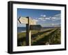 Public Footpath Sign on Lindisfarne, Northumberland, England, United Kingdom, Europe-Rob Cousins-Framed Photographic Print