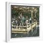 Public Garden in Tokyo (Japan)-Leon, Levy et Fils-Framed Photographic Print