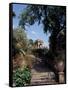 Public Garden of Taormina, Sicily, Italy-Connie Ricca-Framed Stretched Canvas
