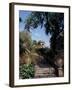 Public Garden of Taormina, Sicily, Italy-Connie Ricca-Framed Premium Photographic Print