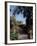 Public Garden of Taormina, Sicily, Italy-Connie Ricca-Framed Photographic Print