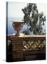 Public Garden of Taormina, Sicily, Italy-Connie Ricca-Stretched Canvas