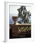 Public Garden of Taormina, Sicily, Italy-Connie Ricca-Framed Photographic Print